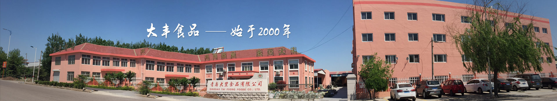 大豐食品，始于2000年